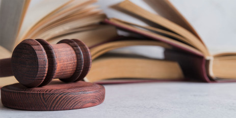 Expert Witness
